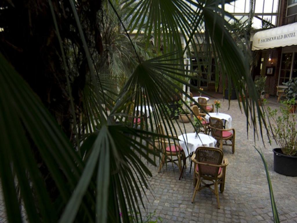Sachsenwald Hotel ラインベーク エクステリア 写真
